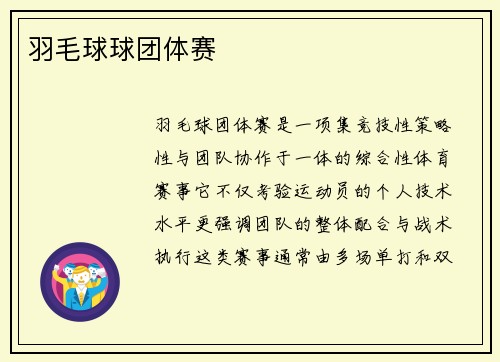 羽毛球球团体赛
